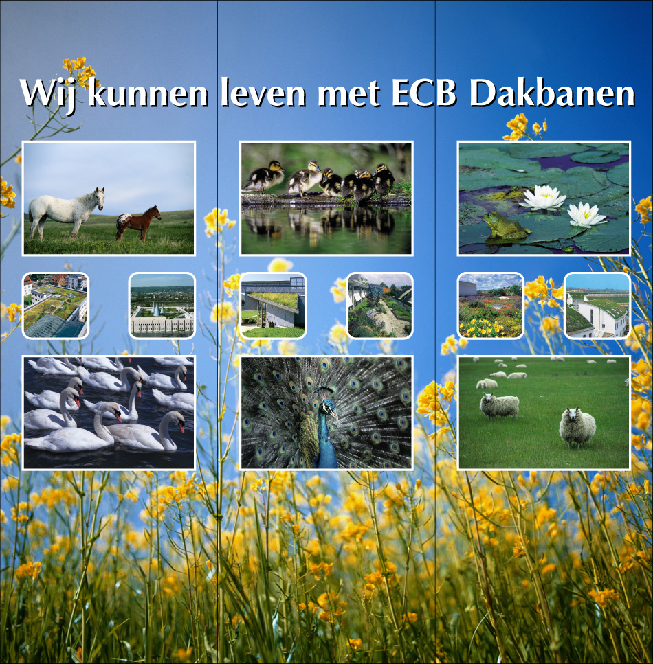 Wij kunnen leven met ECB Dakbanen