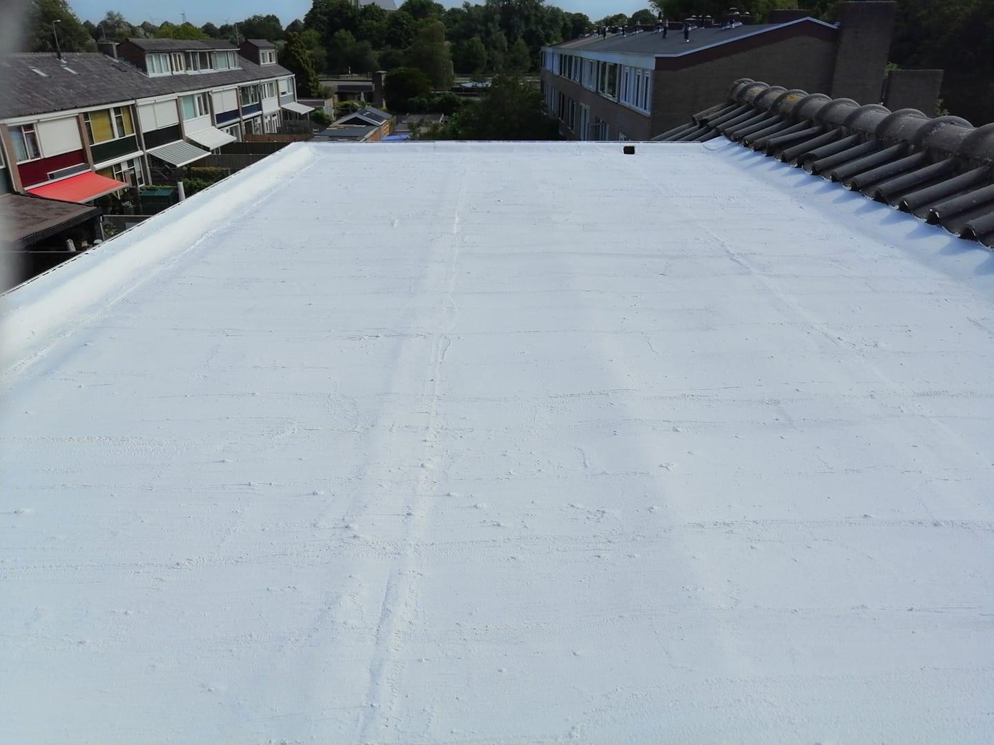 Witte Dakbedekking 31 (1)