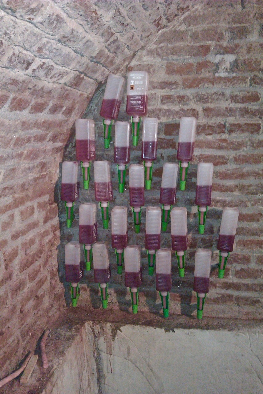 Optrekkend Vocht Gewelvenkelder