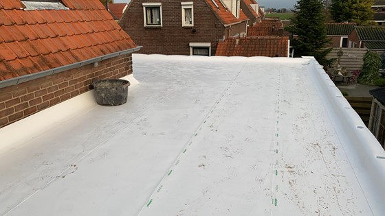 Witte Dakbedekking 56