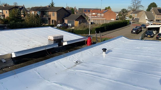 Witte Dakbedekking 63