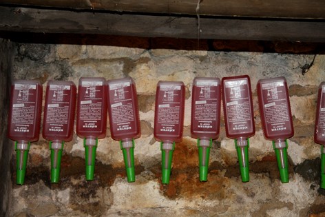 Optrekkend Vocht Kelder Binnenmuur